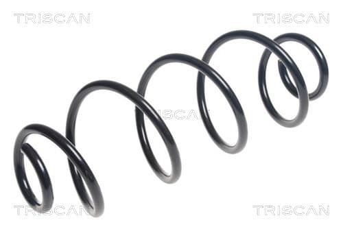Spiralfjäder bak från TRISCAN
