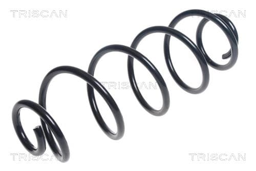 Spiralfjäder bak från TRISCAN