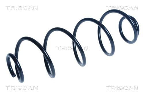 Spiralfjäder bak från TRISCAN
