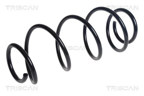 Spiralfjäder fram från TRISCAN