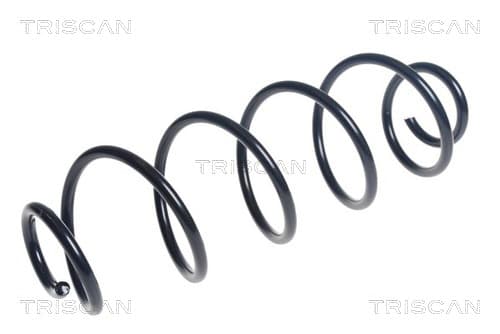 Spiralfjäder bak från TRISCAN