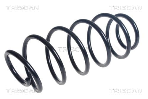 Spiralfjäder fram från TRISCAN