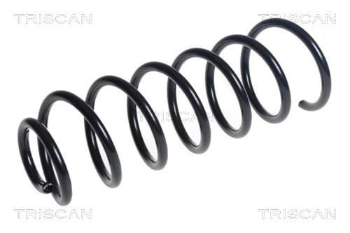 Spiralfjäder bak från TRISCAN