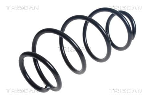 Spiralfjäder fram från TRISCAN