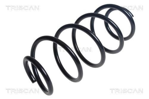Spiralfjäder fram från TRISCAN