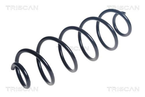 Spiralfjäder bak från TRISCAN