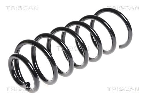 Spiralfjäder bak från TRISCAN