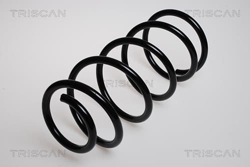 Spiralfjäder fram från TRISCAN