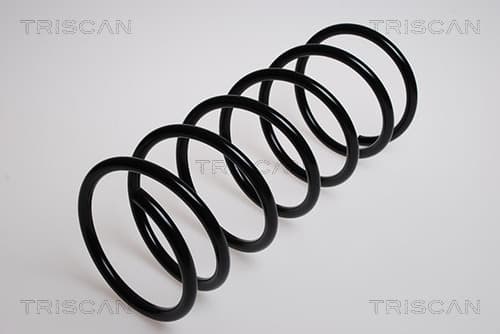Spiralfjäder fram från TRISCAN