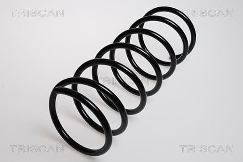 Spiralfjäder fram från TRISCAN