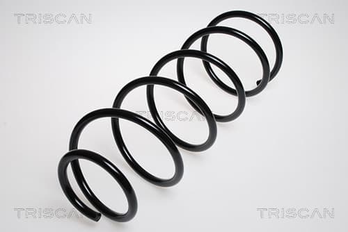 Spiralfjäder fram från TRISCAN