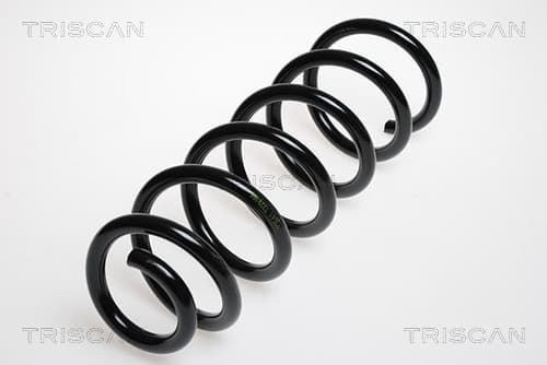 Spiralfjäder bak från TRISCAN