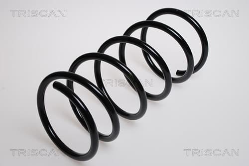Spiralfjäder fram från TRISCAN