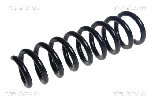 Spiralfjäder bak från TRISCAN