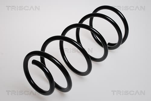 Spiralfjäder fram från TRISCAN