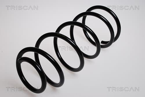 Spiralfjäder fram från TRISCAN