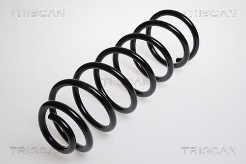 Spiralfjäder bak från TRISCAN