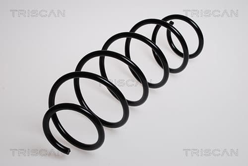 Spiralfjäder fram från TRISCAN