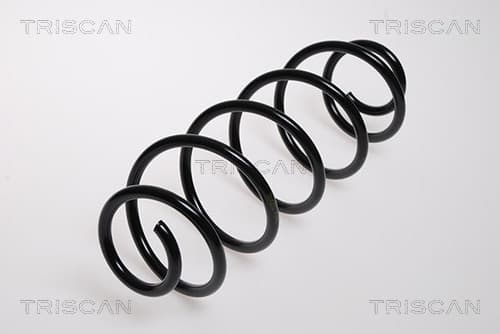 Spiralfjäder bak från TRISCAN