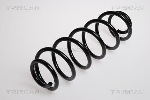 Spiralfjäder bak från TRISCAN