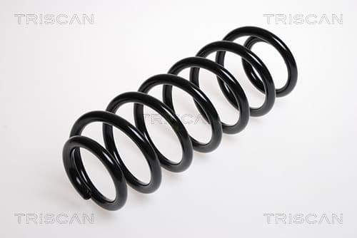 Spiralfjäder bak från TRISCAN