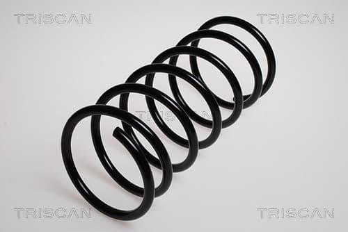 Spiralfjäder fram från TRISCAN