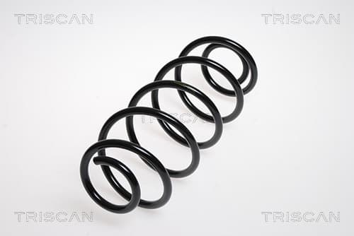 Spiralfjäder bak från TRISCAN