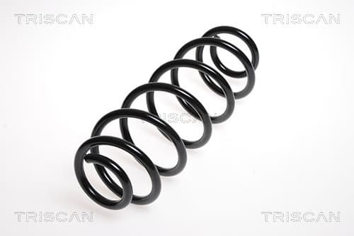 Spiralfjäder bak från TRISCAN