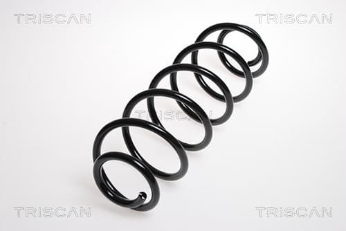 Spiralfjäder bak från TRISCAN