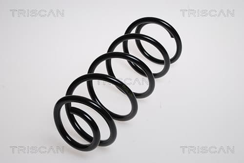 Spiralfjäder fram från TRISCAN