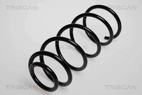 Spiralfjäder fram från TRISCAN