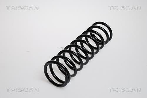 Spiralfjäder bak från TRISCAN