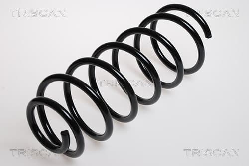 Spiralfjäder fram från TRISCAN