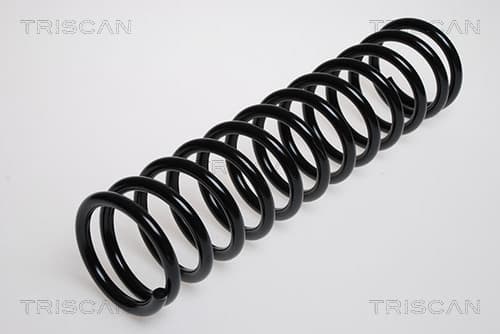 Spiralfjäder bak från TRISCAN