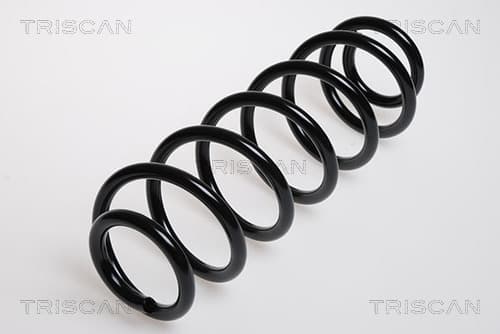 Spiralfjäder bak från TRISCAN