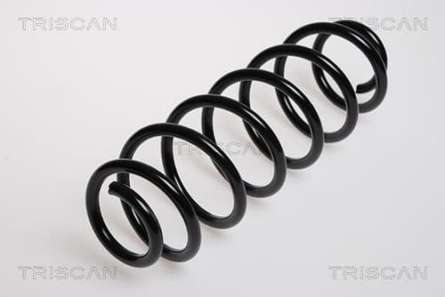 Spiralfjäder bak från TRISCAN