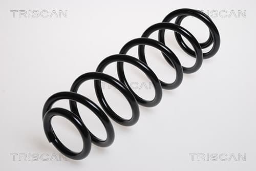 Spiralfjäder bak från TRISCAN