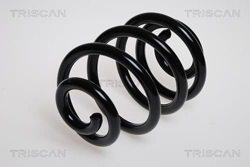 Spiralfjäder bak från TRISCAN