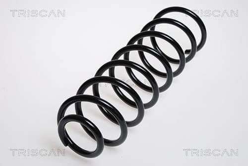 Spiralfjäder bak från TRISCAN