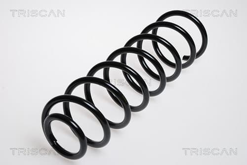 Spiralfjäder bak från TRISCAN