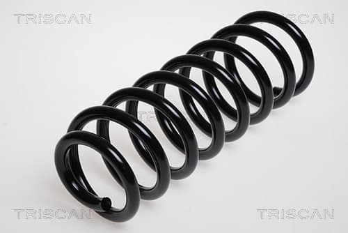 Spiralfjäder bak från TRISCAN
