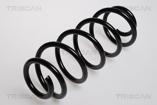 Spiralfjäder fram från TRISCAN
