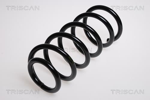 Spiralfjäder bak från TRISCAN