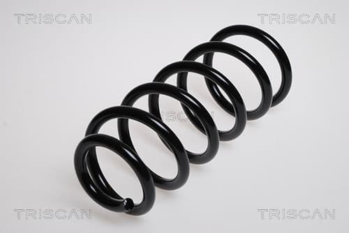 Spiralfjäder bak från TRISCAN