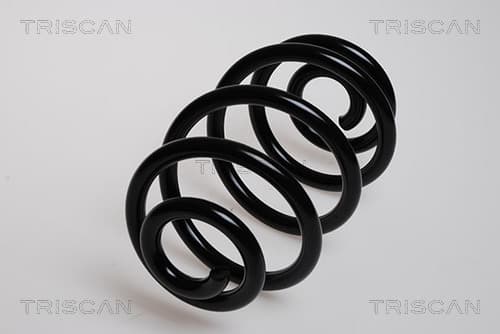 Spiralfjäder bak från TRISCAN