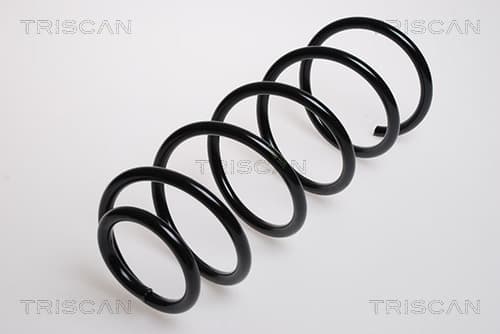 Spiralfjäder fram från TRISCAN