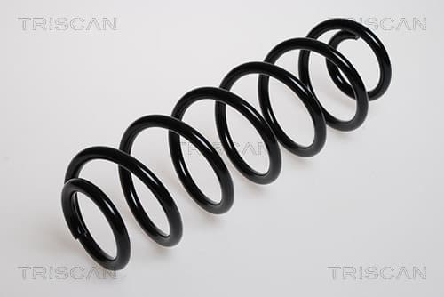 Spiralfjäder bak från TRISCAN