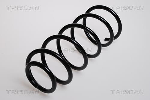 Spiralfjäder fram från TRISCAN