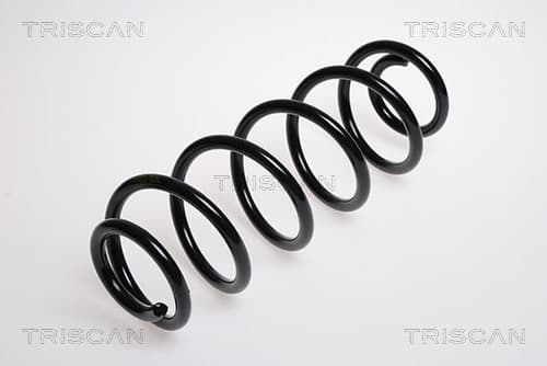 Spiralfjäder bak från TRISCAN