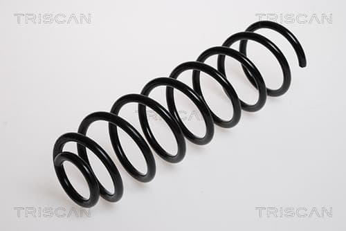 Spiralfjäder bak från TRISCAN